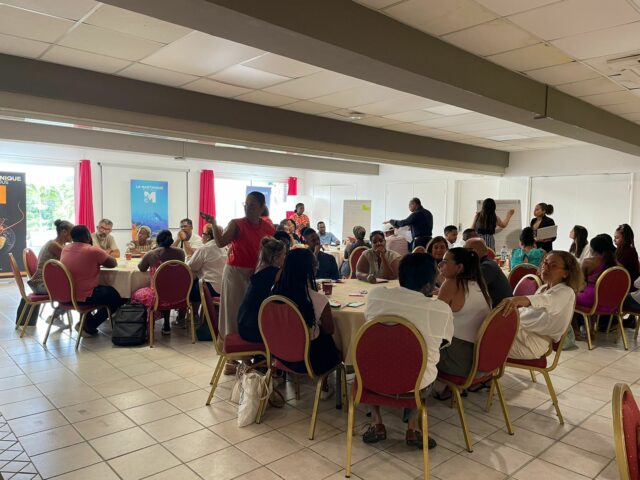 Structurer, accompagner, professionnaliser : le Comité Martiniquais du Tourisme ouvre le dialogue avec les conciergeries de l&rsquo;île