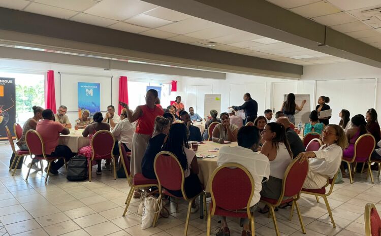 Structurer, accompagner, professionnaliser : le Comité Martiniquais du Tourisme ouvre le dialogue avec les conciergeries de l’île