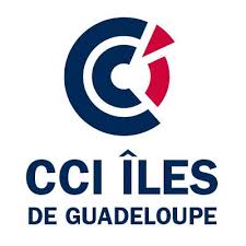 ccig